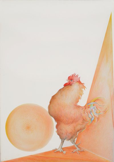 Rooster by Antonio Ciccone